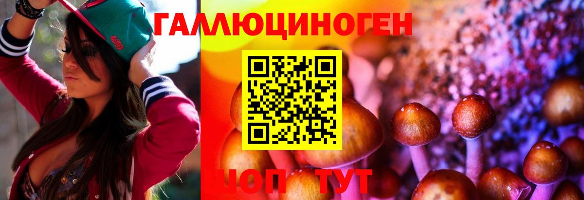 Краснотурьинск  Галлюциногенные грибы MAGIC MUSHROOMS  Вход с VPN 